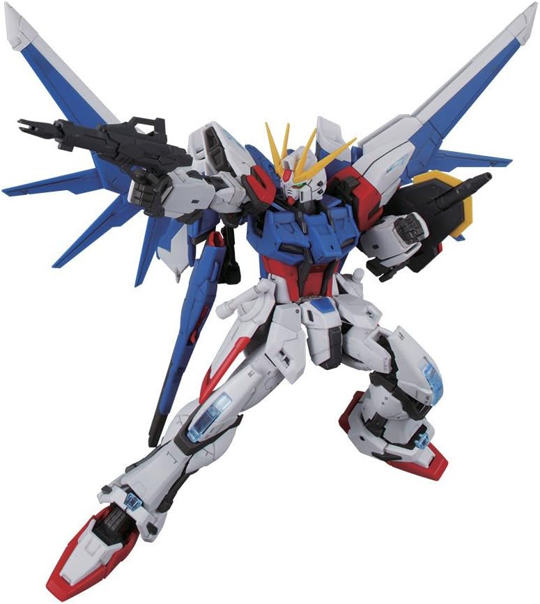 RG Build Strike Gundam Full Package