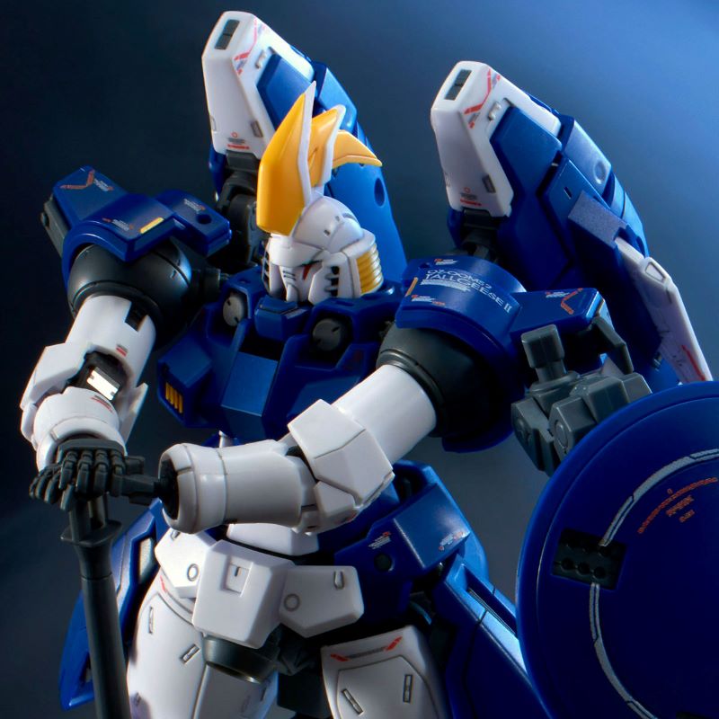P-Bandai RG TALLGEESE II