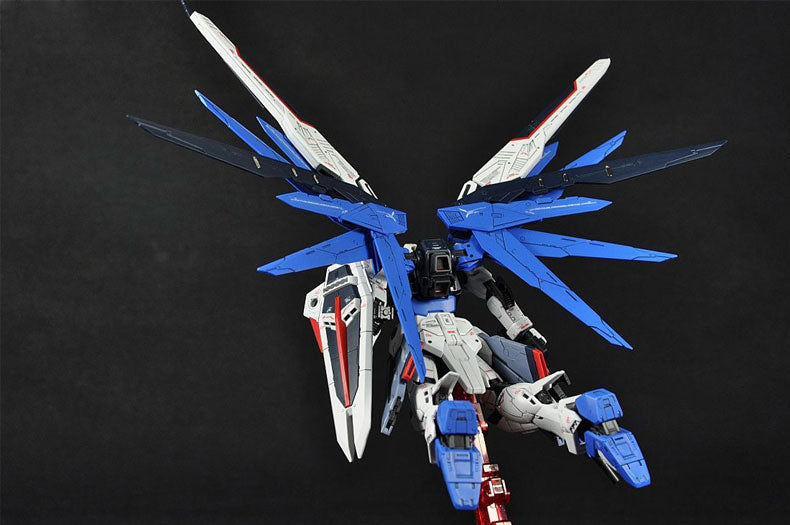 RG Freedom gundam
