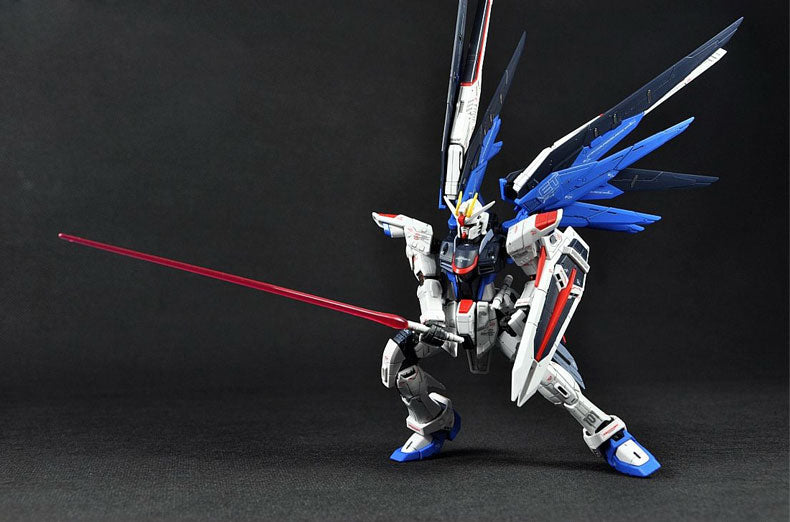 RG Freedom gundam
